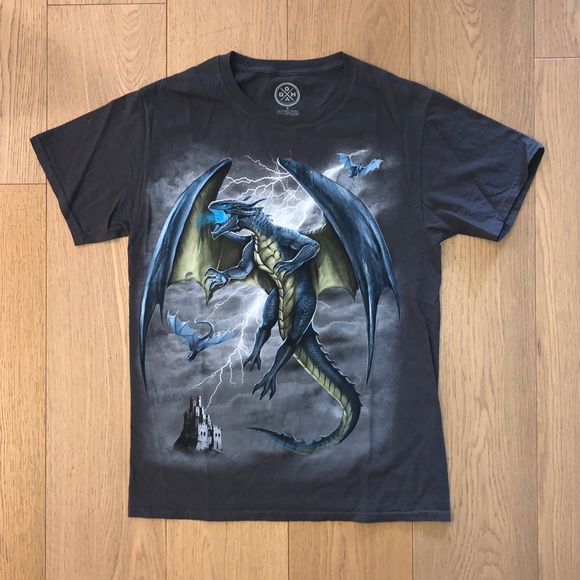Hanes Other - Dragon T Shirt
